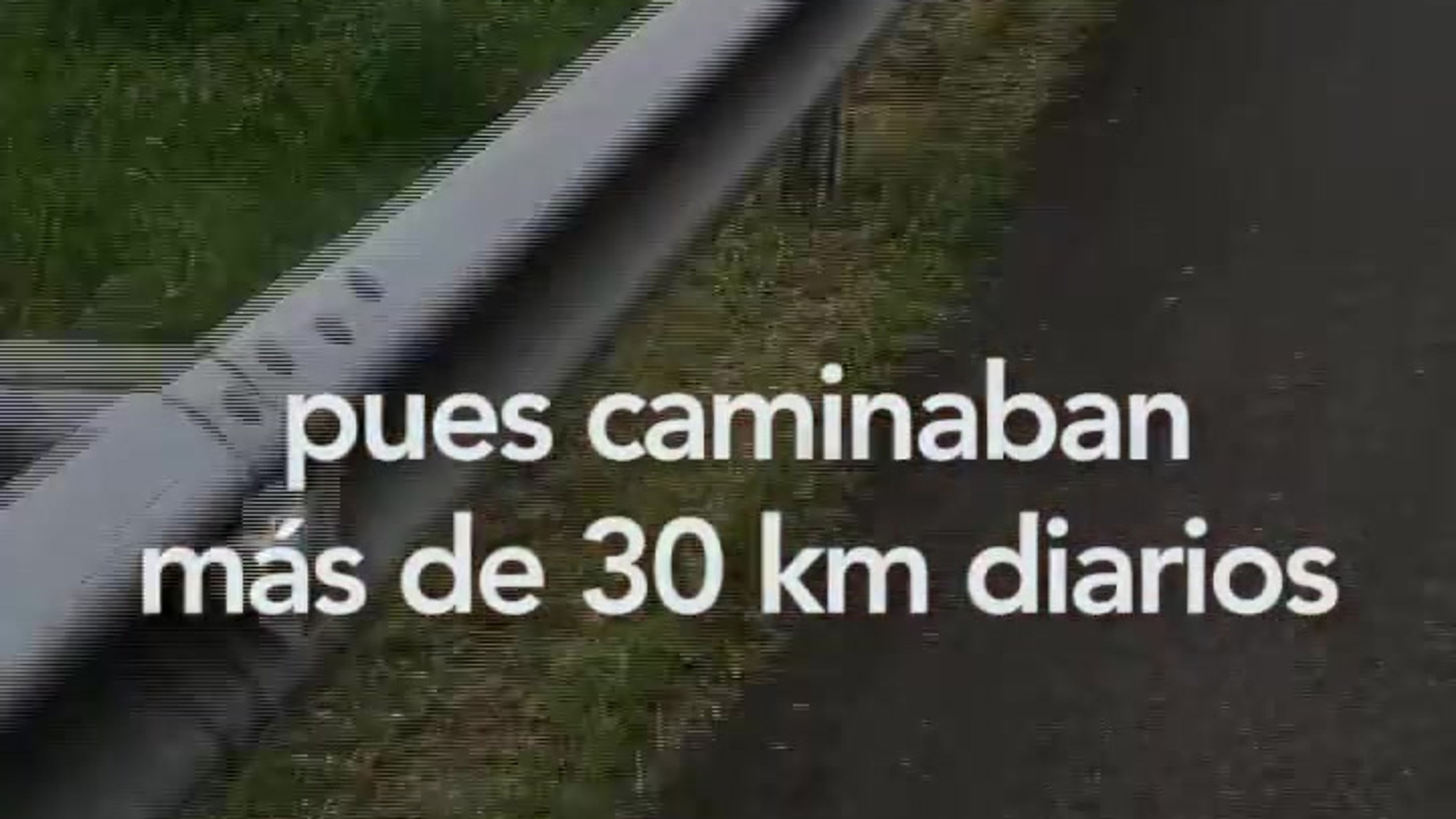 Mi canal